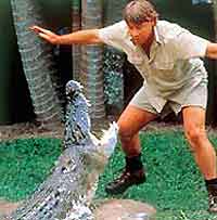 Brisbane Attractions for Children