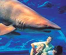 Brisbane Attractions for Children