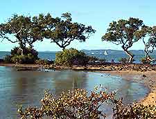 Attractions Nearby Brisbane