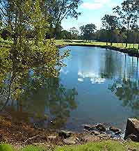 Brisbane Golf Courses