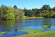 Brisbane University