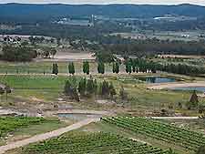 Brisbane Vineyards and Wines