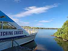 Brisbane Whale Watching