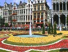 Picture showing spectacular display of flowers in the Grote Markt
