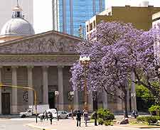 Catedral Metropolitana picture (Metropolitan Cathedral)