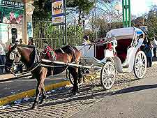 Picture of horse and carriage, awaiting passengers