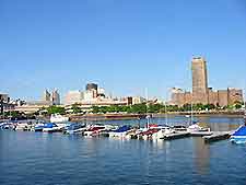 Buffalo Marina2
