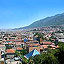 Bursa
