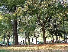 Image of the Kulturpark (Culture Park)