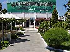 Picture of local dining establishment