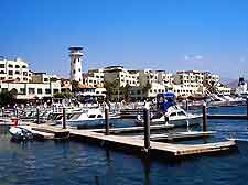 Picture of the marina in the summer