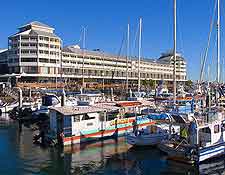Image of the marina and waterfront