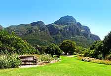 Kirstenbosch National Botanical Gardens picture