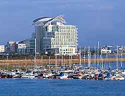 Picture of nearby Cardiff Bat