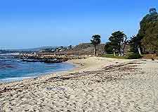 Beachfront picture