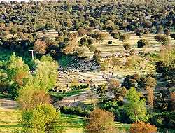 Madrid Parks and Gardens