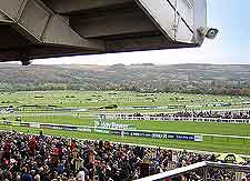 View of the horse racing at the Cheltenham Racecourse