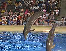Attractions Nearby Chicago