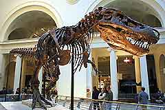 Chicago Museums