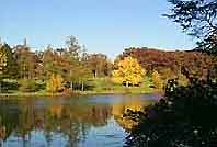 Attractions Nearby Chicago