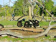 Christchurch Attractions for Children