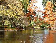 Christchurch Parks and Gardens