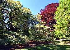 Christchurch Parks and Gardens