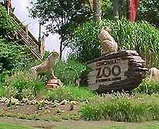 Cincinnati Zoo2
