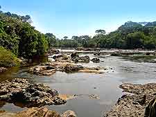 Picture taken at the Okapi National Park