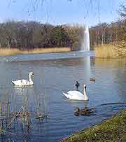 Photo of the Faelledparken