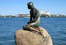 Picture of the Little Mermaid (Den Lille Havfrue)