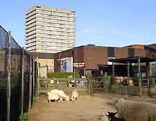 Photo of the City Farm