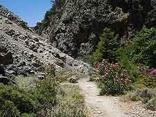 Photo of hiking trail at the Agia Irini Gorge, Crete, Greece
