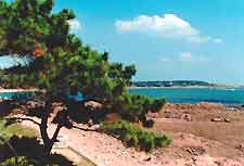 Dalian coastline photograph