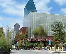 Dallas Aquarium3