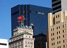 Dallas Hotels4