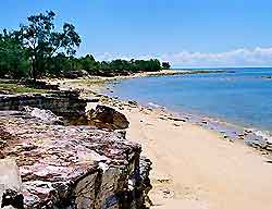 Darwin Information and Tourism