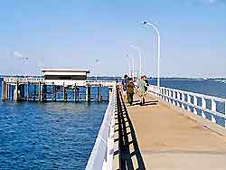 Darwin Information and Tourism
