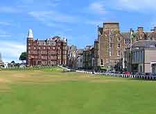 View of the grounds