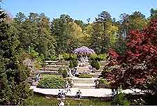 Durham Duke Gardens4