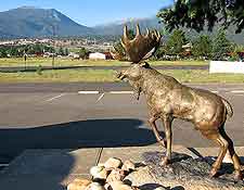 Photograph of central elk statue