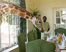 Picture of Giraffe Manor House in Kenya