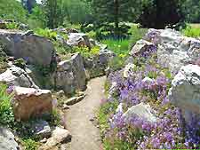 View of the large rockery at the Botanical Gardens (Botanischer Garten)