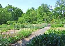 Summer picture of the Botanical Gardens (Botanischer Garten)