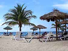 Picture of sunloungers and palm leaf parasols on beach