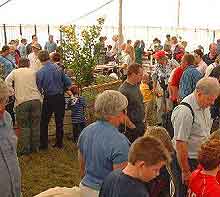 Frome Events, Festivals and Things to Do