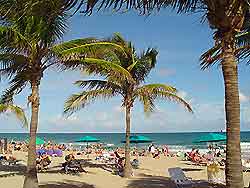 Ft Lauderdale Beach8