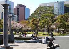 Photo of the ACROS Building in Fukuoka