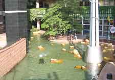 Photo of waterway at the Canal City