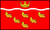 East Sussex flag